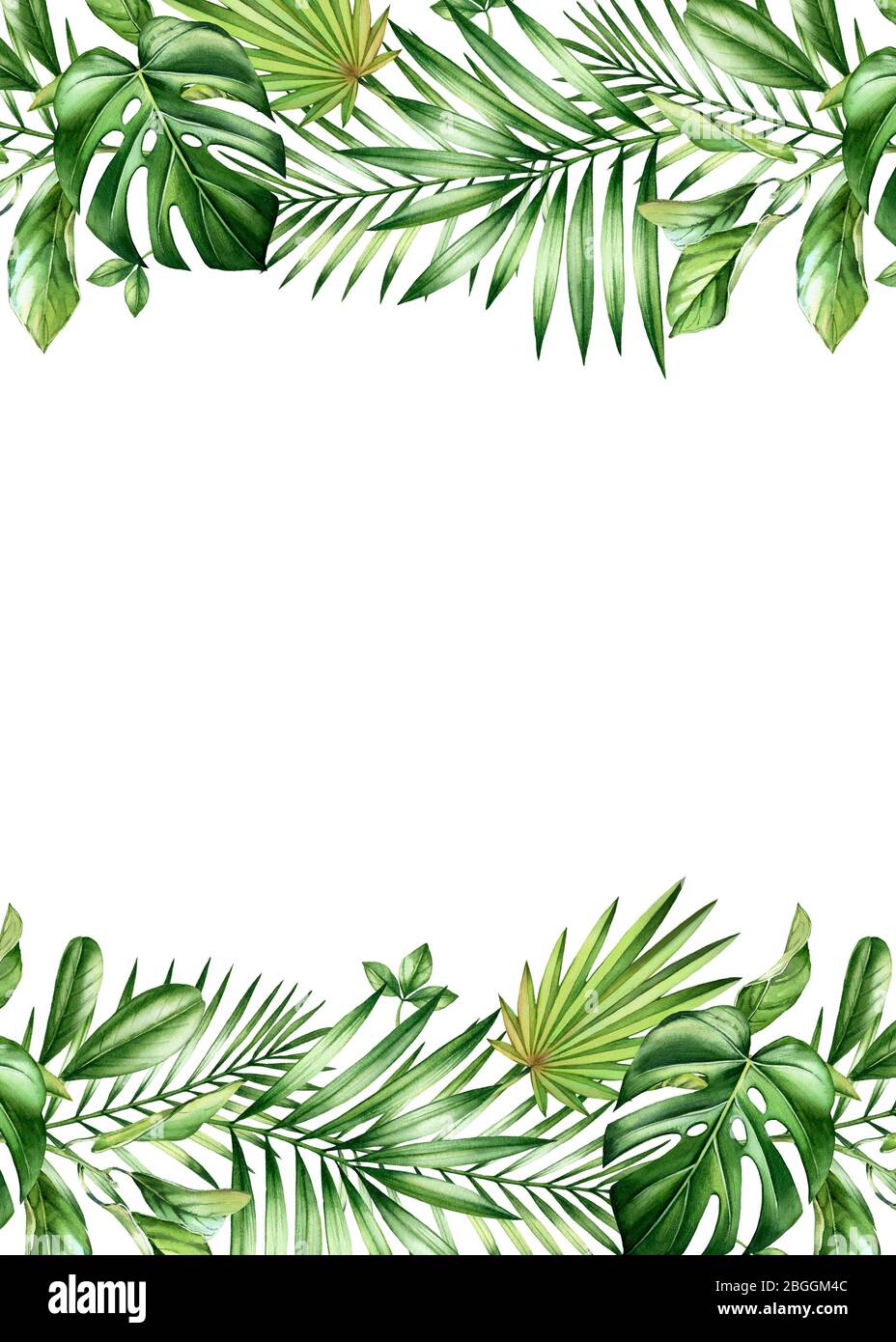 Banner tropicale acquerello. Cornice verticale con foglie di palma e mostera, posizionare per il testo. Modello di scheda A5 dipinto a mano. Botanico realistico Foto Stock