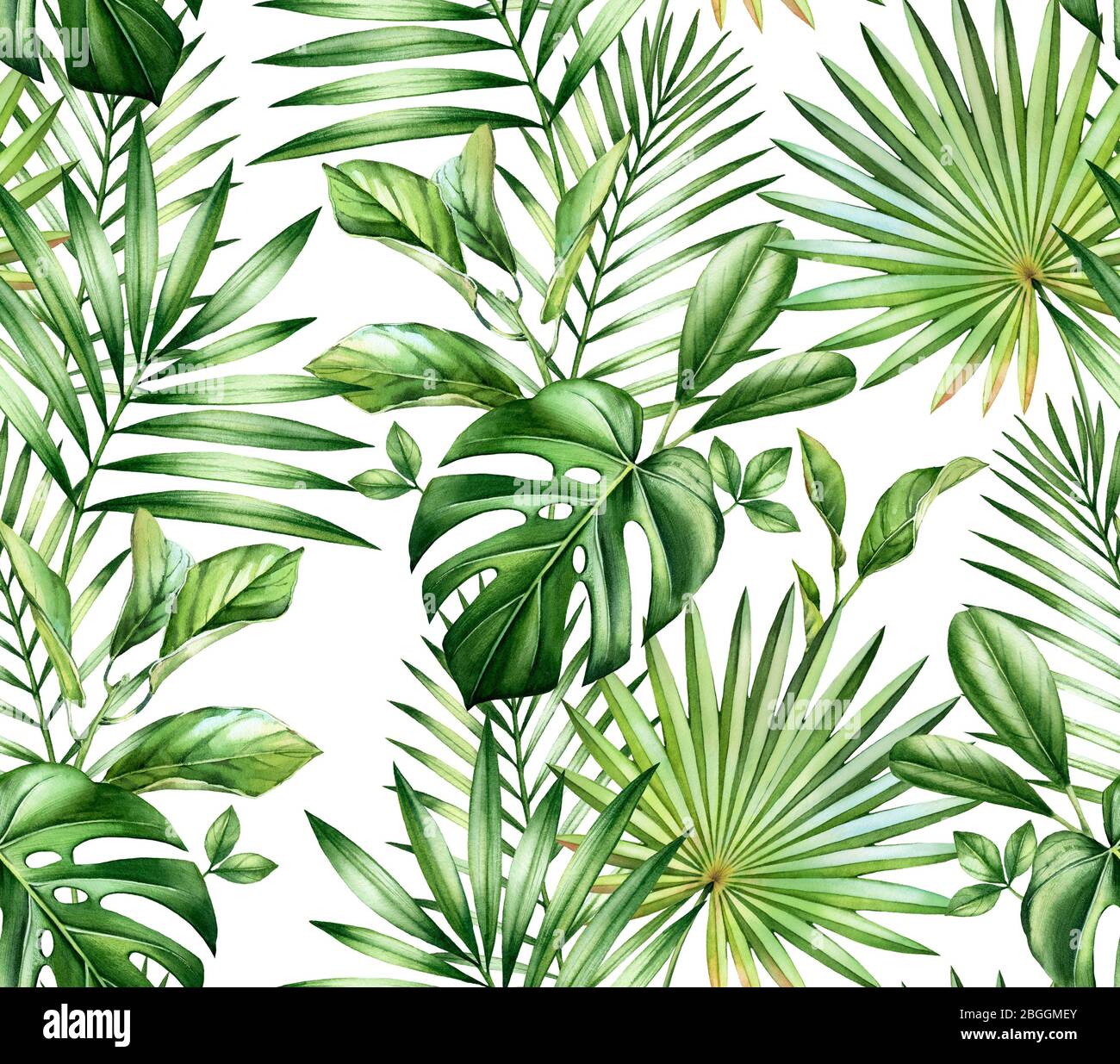 Acquerello tropicale senza cuciture pattern. Esotiche foglie di palma, monstera, cocco isolato su bianco. Illustrazione a mano disegnata botanica per matrimonio, superficie Foto Stock