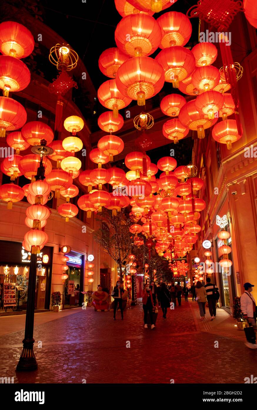 Hong Kong, Cina:21 Feb, 2020. Lanterne per il capodanno cinese decorare Lee Tung Avenue in WAN Chai Jayne Russell/Alamy Stock Image Foto Stock