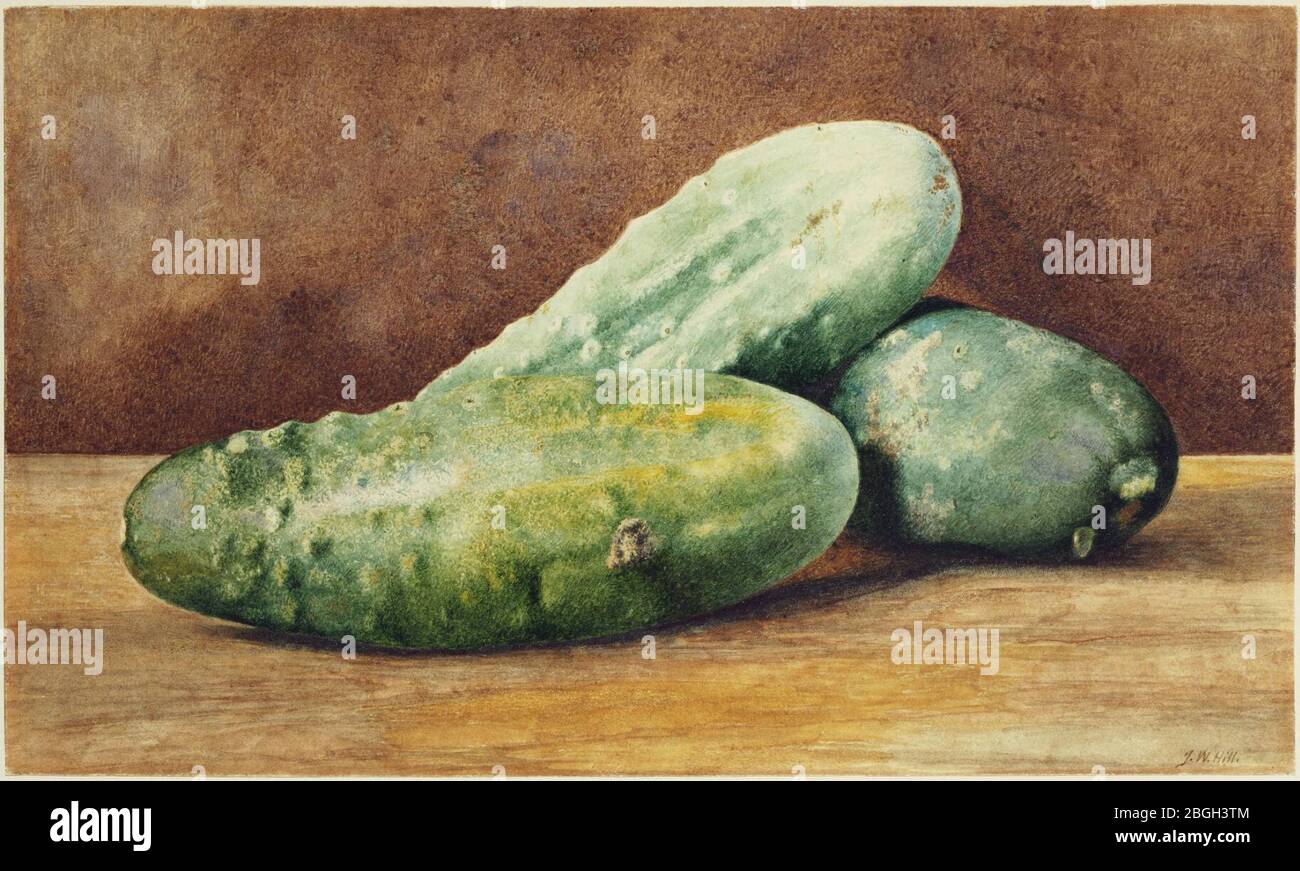 Hill, John William, Cucumbers, ca. 1860. Foto Stock