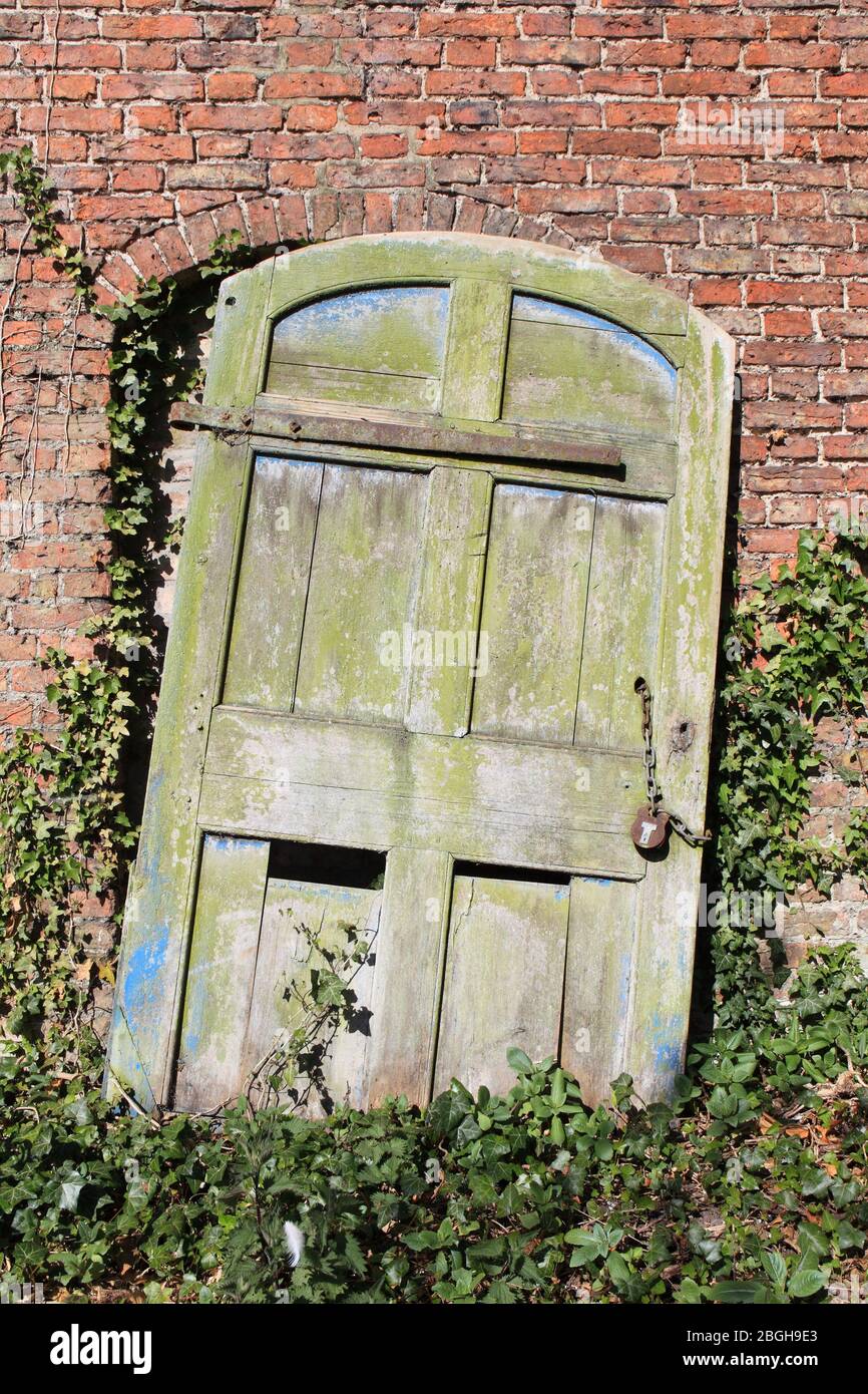 Vecchia porta in legno con lucchetto e catena, cerniere arrugginite e edera appoggiata su un arco in un antico giardino murato. Foto Stock