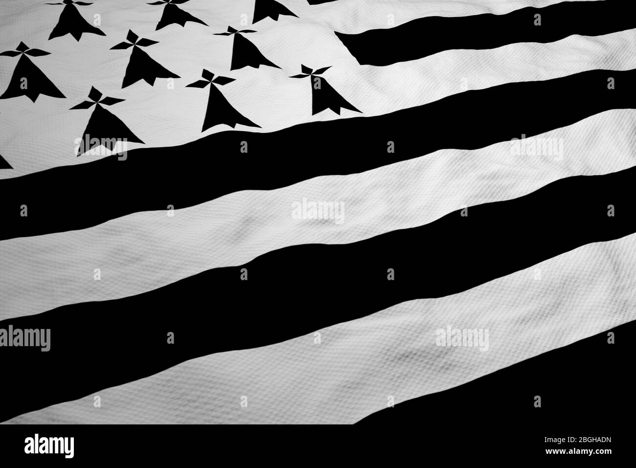 Primo piano del frame su una bandiera bretone ondeggiante (Gwenn ha du) nel rendering 3D. Foto Stock