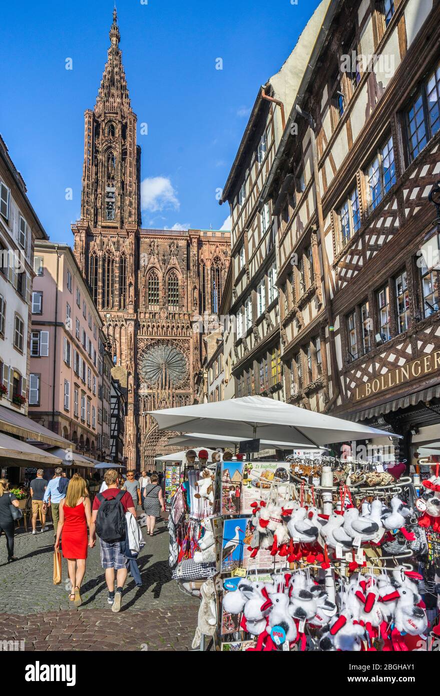 Bancarelle di souvenir in Rue Mercière sullo sfondo della façade occidentale della Cattedrale di Strasburgo, Strasburgo, Alsazia, Francia Foto Stock