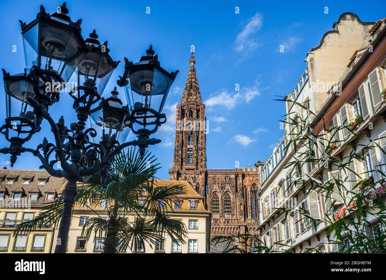 La guglia della Cattedrale di Strasburgo domina il centro storico della città, Strasburgo, Alsazia, Francia Foto Stock