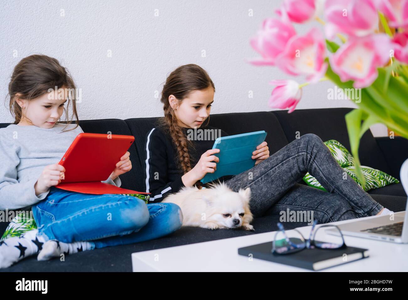 Formazione online, apprendimento a distanza, homeschooling. Bambini che studiano i compiti durante una lezione online a casa su tablet di notebook e con videocall. Foto Stock