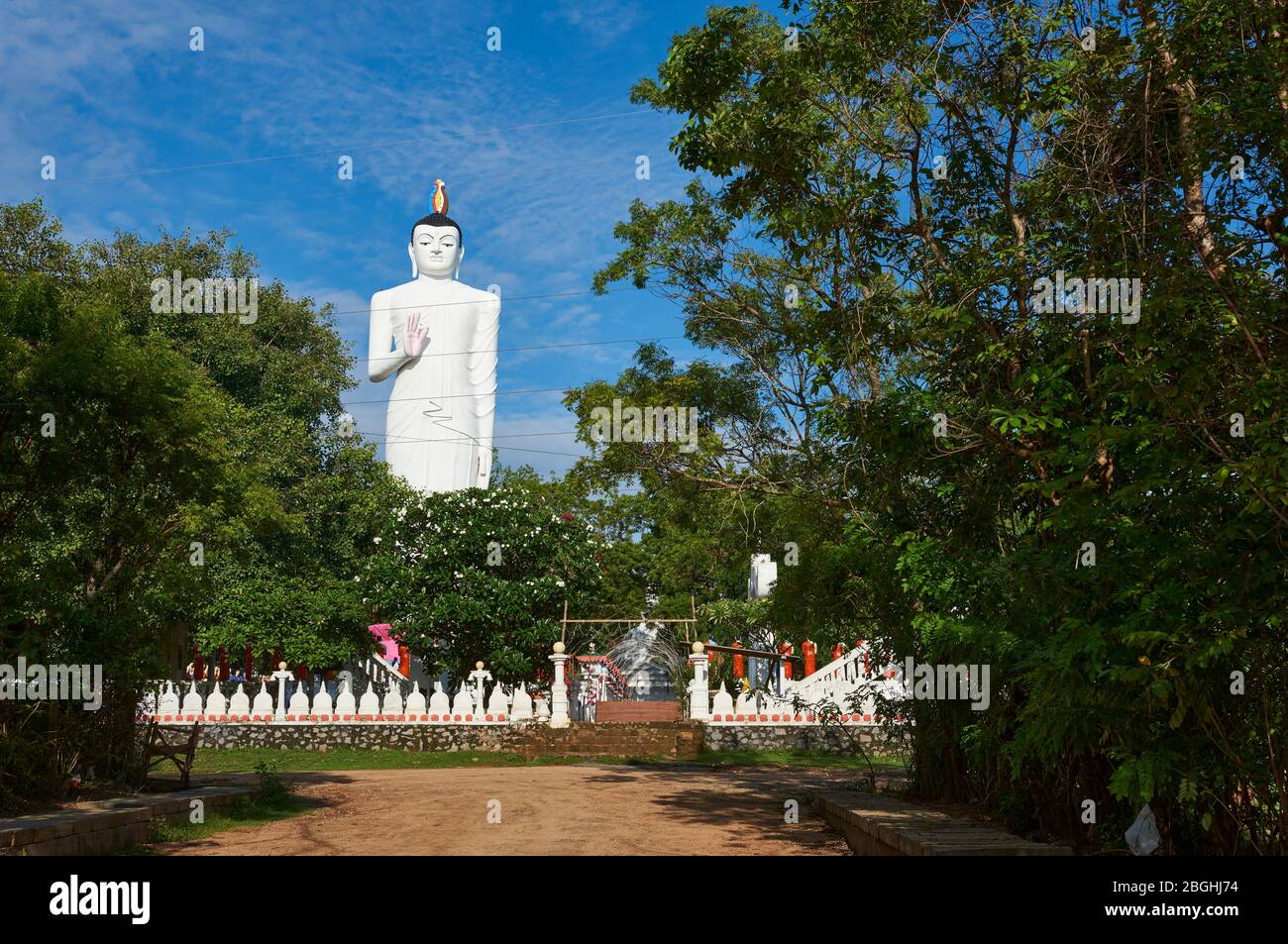 Statua bianca di Buddha alta nel tempio buddista di Sigiriya, Sri Lanka. Foto Stock