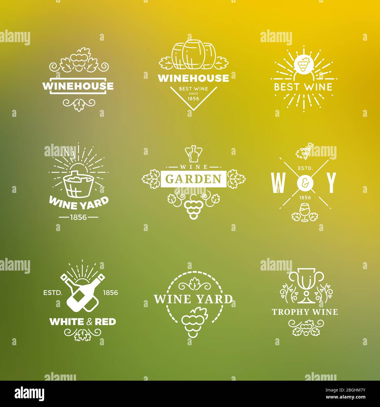 Etichette per vino bianco design vettoriale isolato su sfondo verde illustrazione Illustrazione Vettoriale