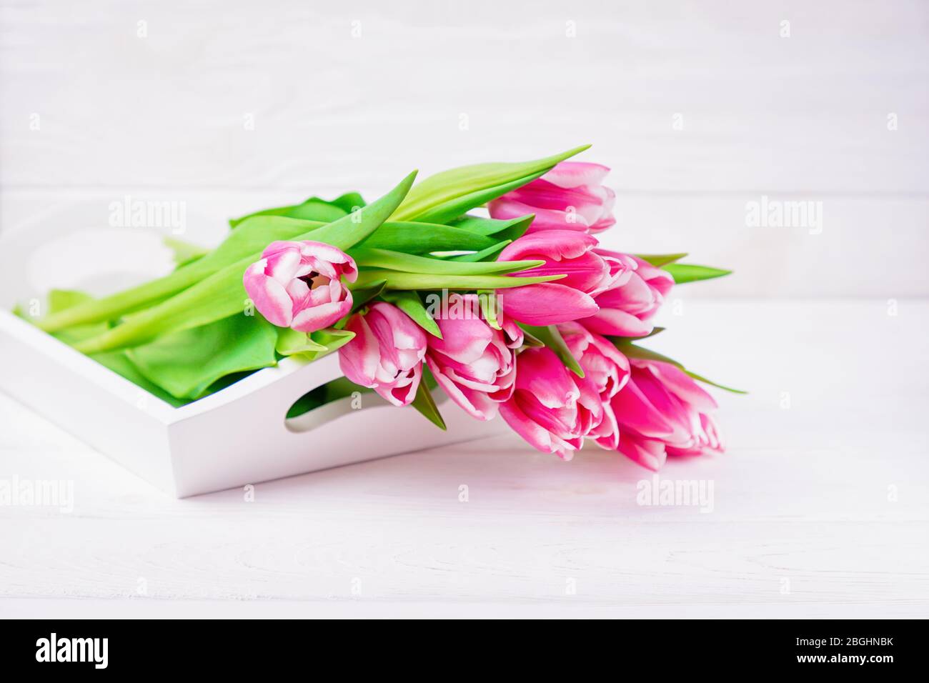 Fiori freschi di tulipani magenta rosa su sfondo bianco di legno. Primavera. Spazio di copia Foto Stock