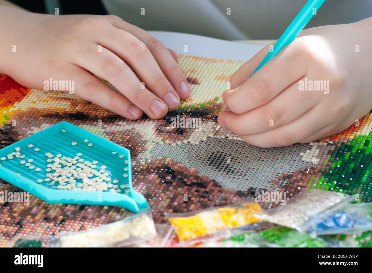 Raccolta di ricami di diamanti, mosaico di diamanti. Cristalli colorati. Foto Stock