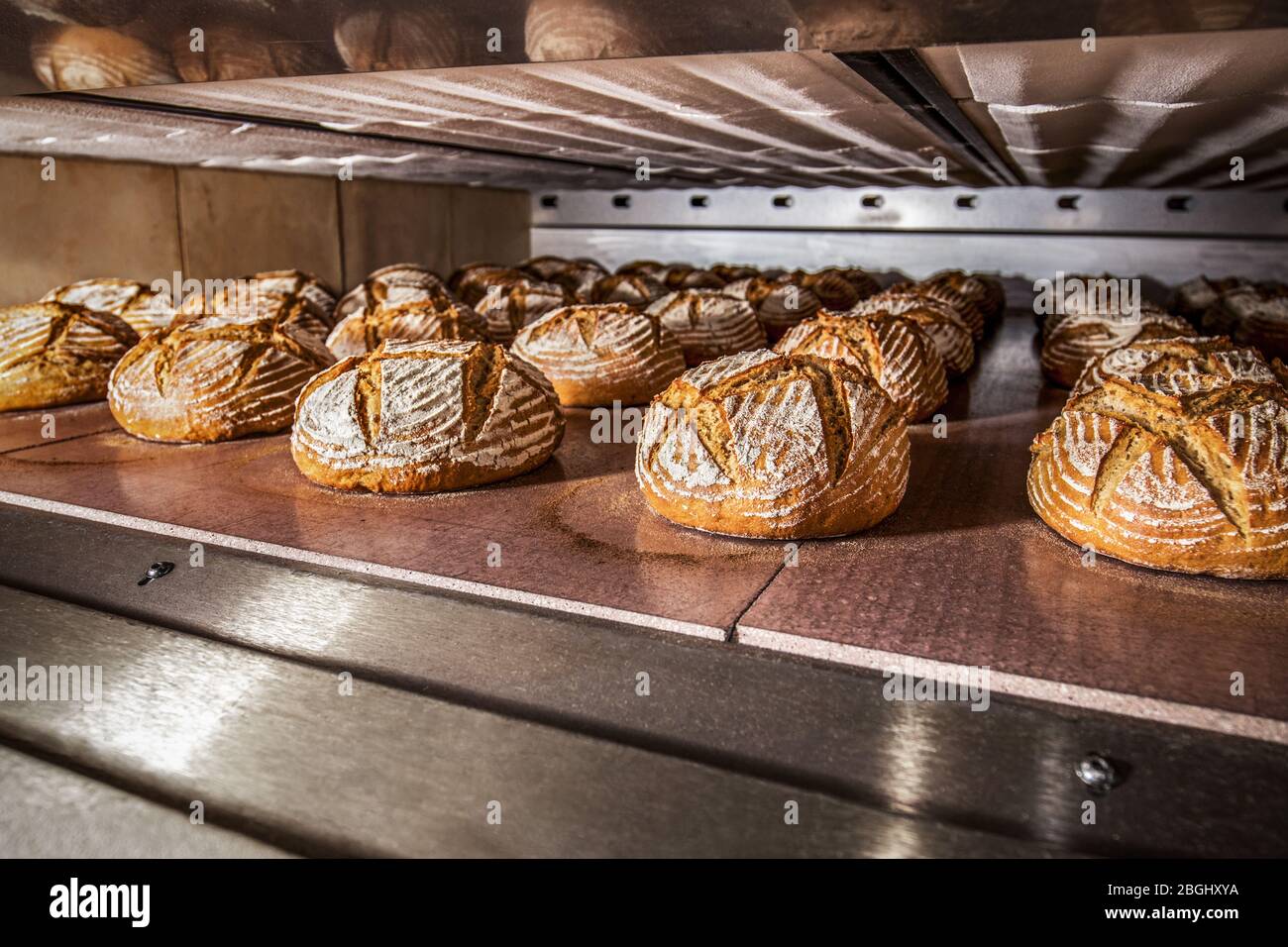 cottura industriale di pane di segale tradizionale in forno elettrico  multistrato Foto stock - Alamy