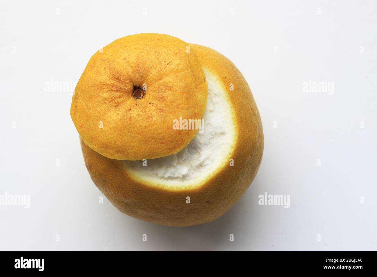 Pomelo o conosciuto come sima di agrume o grandis di agrume isolato contro lo sfondo bianco Foto Stock