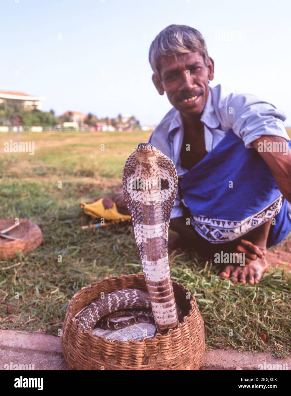 Snakecharmer su Galle Face Green, Galle, Colombo, Provincia del Sud, Sri Lanka Foto Stock