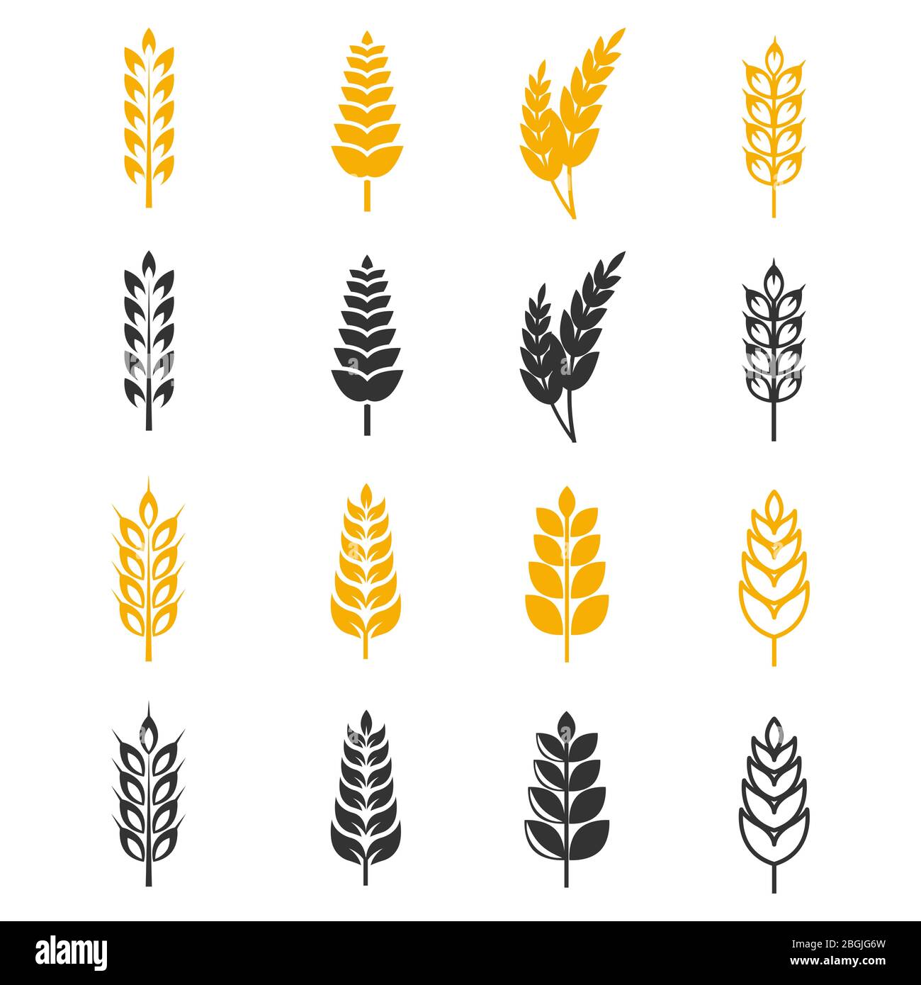 Le orecchie di grano nero e giallo silhouette icone vettoriali. Illustrazione di grano di raccolto di raccolta Illustrazione Vettoriale