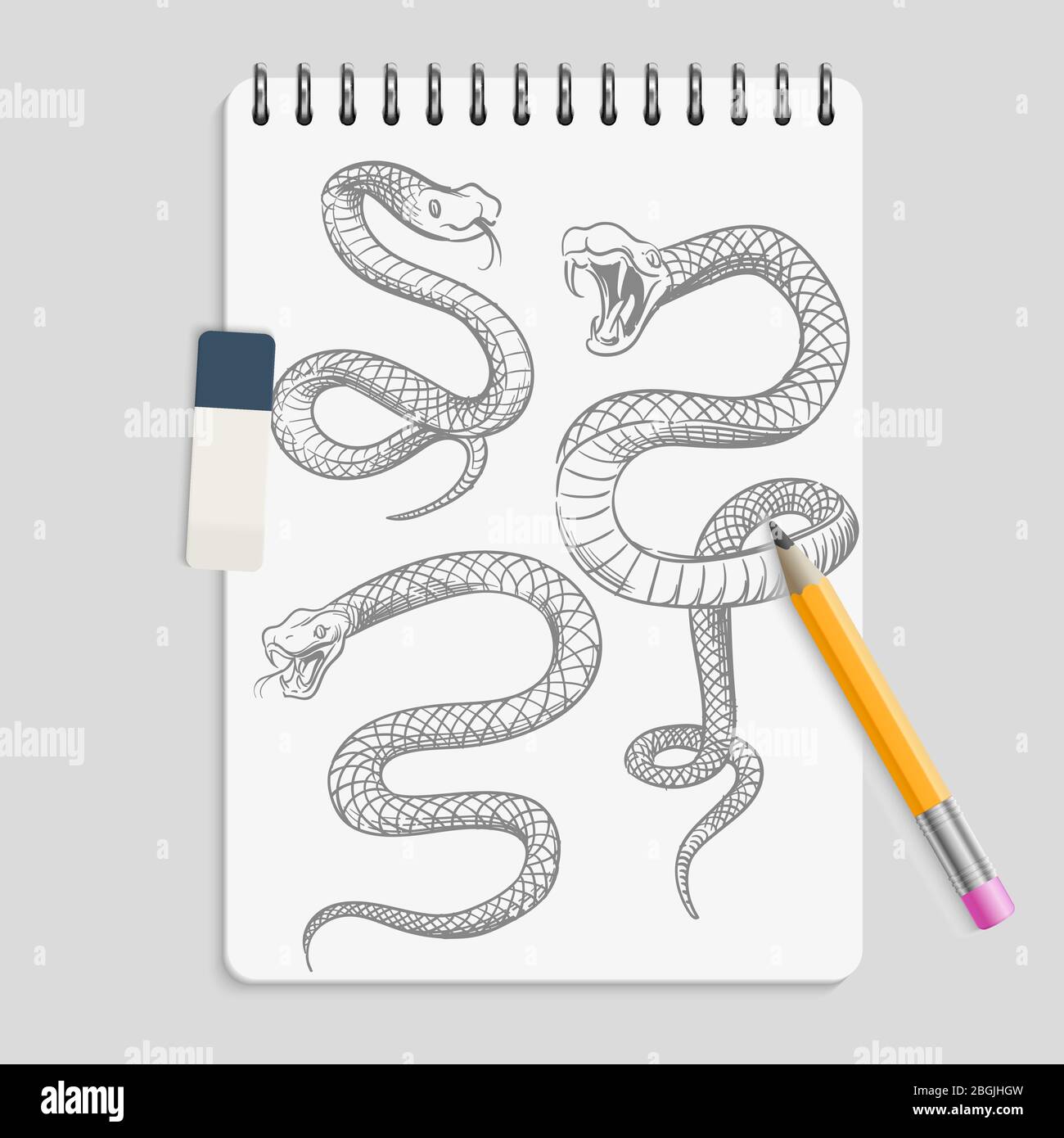 Serpenti disegnati a mano su realizic notebook page con matita e gomma. Disegno del tatuaggio serpente animale, viper da disegno rettile, illustrazione vettoriale Illustrazione Vettoriale