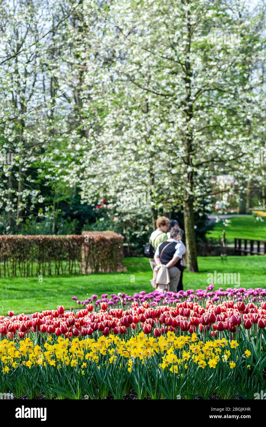 I giardini e i turisti, Giardini Keukenhof, vicino a Lisse, Paesi Bassi Foto Stock