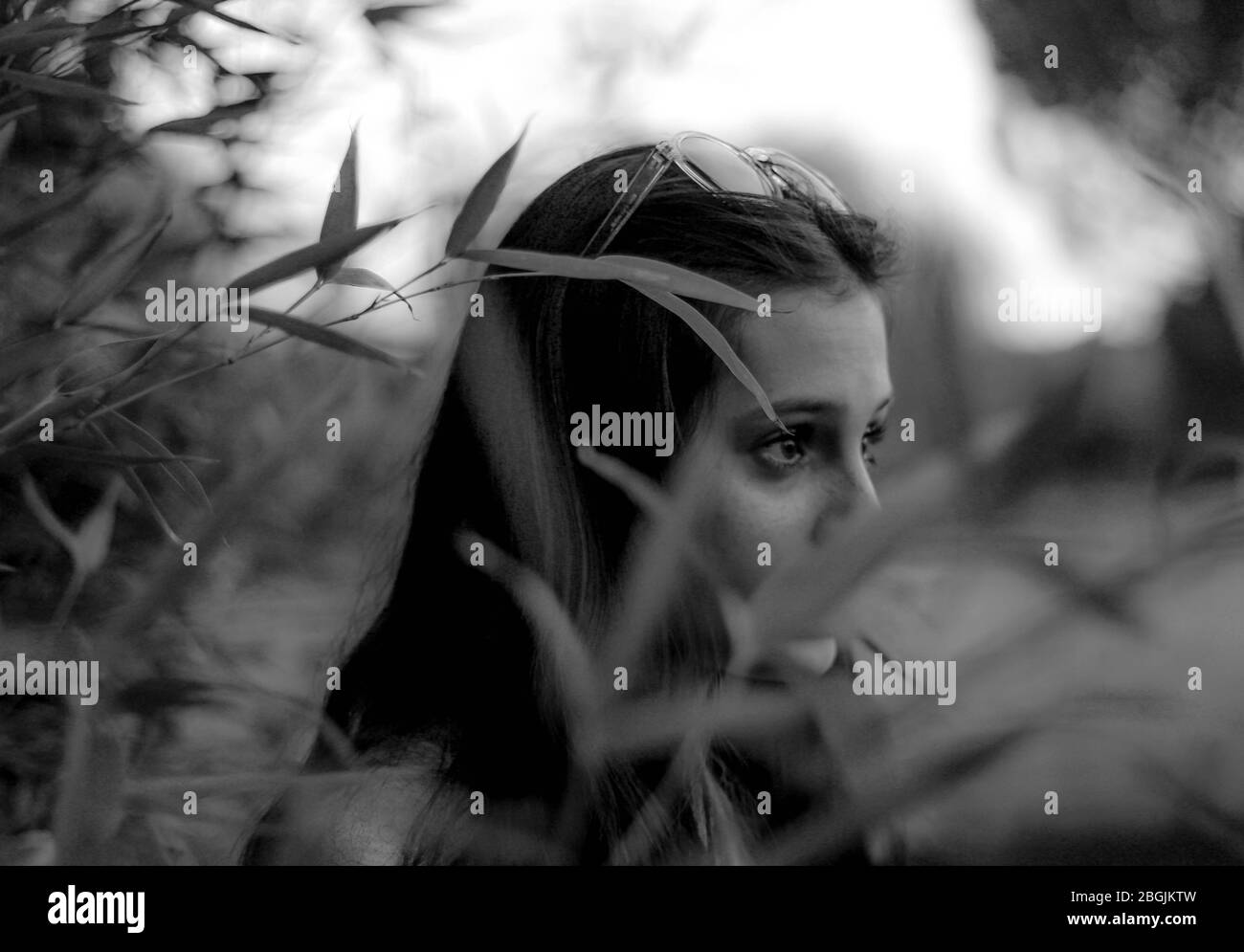 ragazza giovane lateralmente guardando dritto in avanti circondato da foglie di bambù Foto Stock