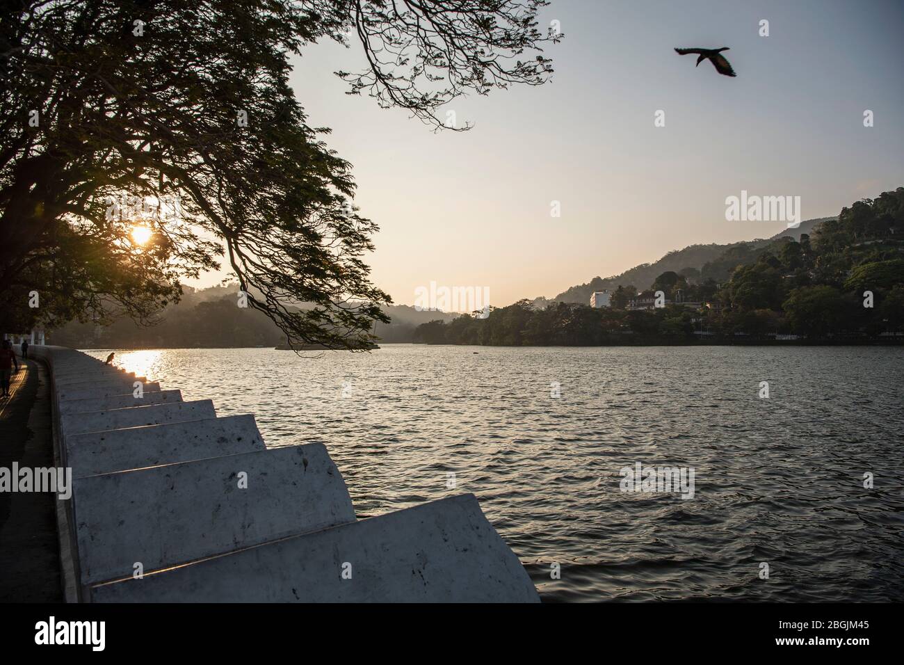 lago a Kandy negli altopiani dello Sri Lanka Foto Stock