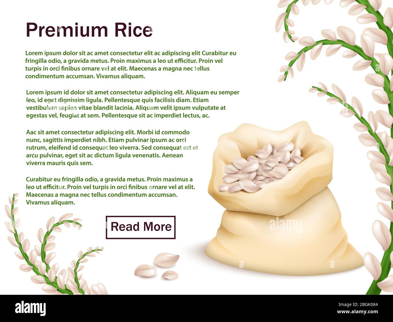 Riso realistico, grani e orecchie isolati su sfondo bianco. Illustrazione del modello di sfondo Web vettoriale per riso Premium Illustrazione Vettoriale