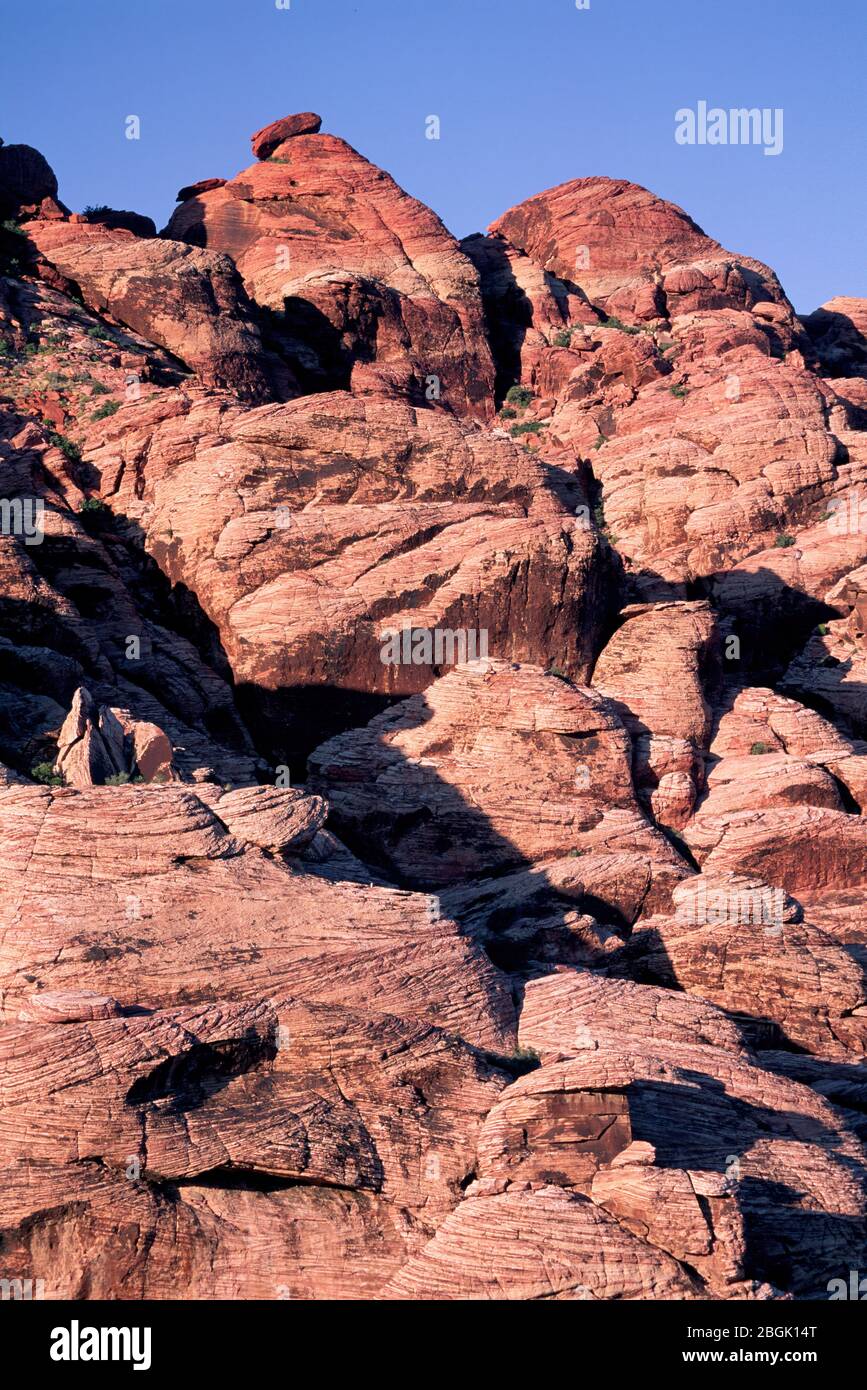Vista sulle colline di Calico, Red Rock Canyon National Conservation Area, Nevada Foto Stock