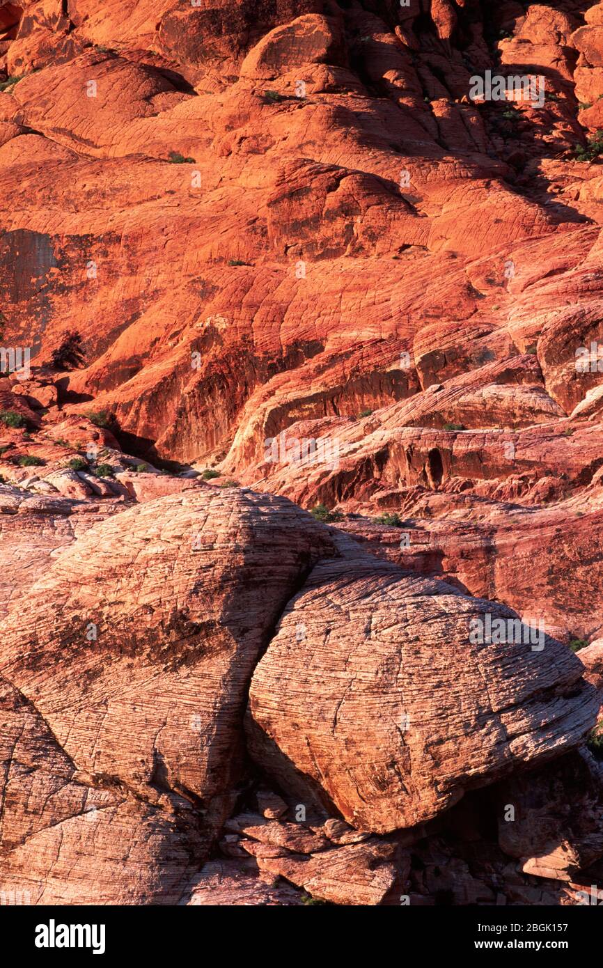 Vista sulle colline di Calico, Red Rock Canyon National Conservation Area, Nevada Foto Stock