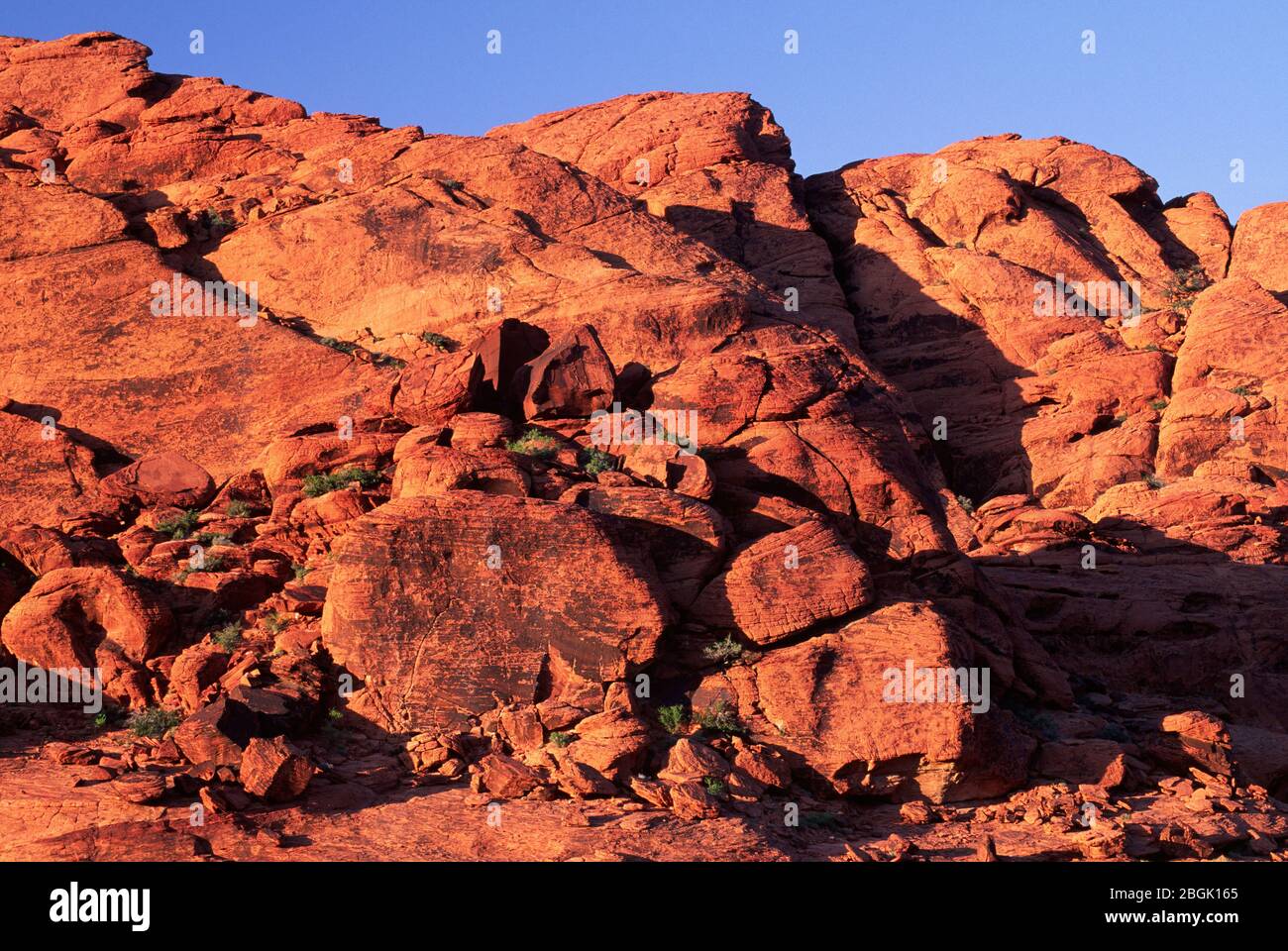 Vista sulle colline di Calico, Red Rock Canyon National Conservation Area, Nevada Foto Stock