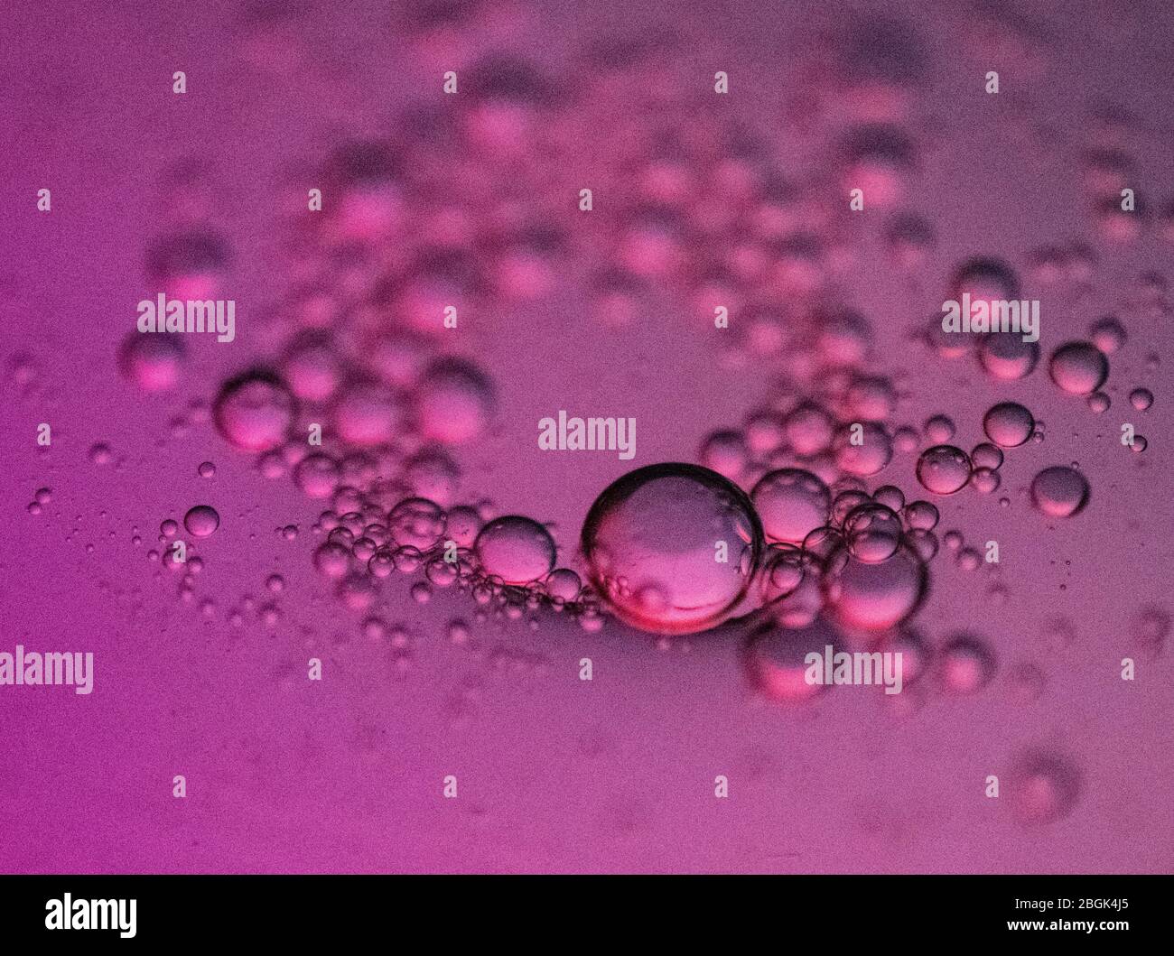 Bolle rosa profonde in olio e acqua Foto Stock