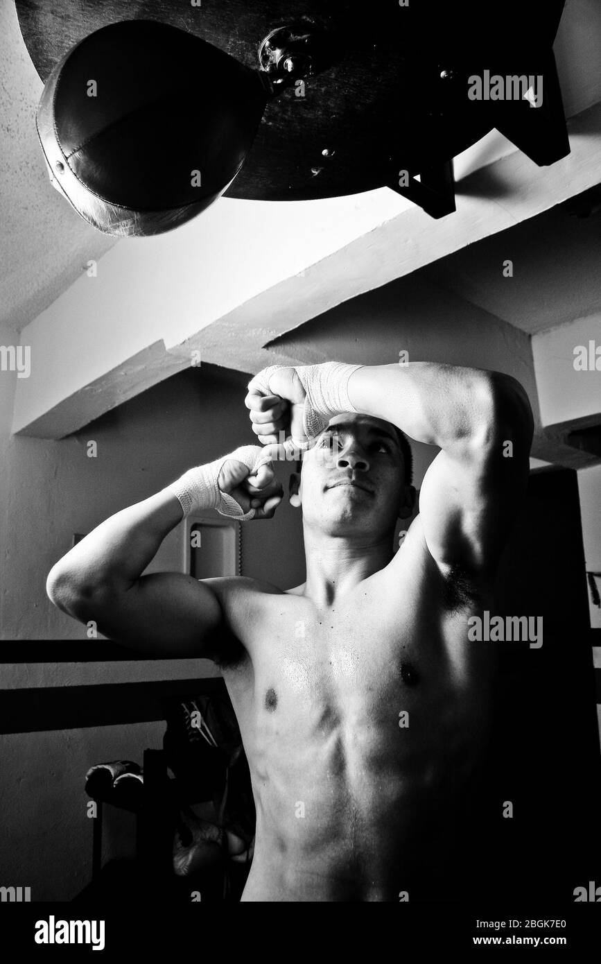 Juan Francisco Estrada. Boxer professionista messicano, boxer professionista. Juan Francisco El Gallo Estrada, Gallo Estrada. Anello di blocco, verticale. CMB, AMB. Boxeo (Photo:LuisGutierrez/NortePhoto.com) Juan Francisco Estrada. Boxer professionista messicano, boxeador profecional. Juan Francisco El Gallo Estrada, gallo Estrada. Anello di blocco, ritrato. (Foto:LuisGutierrez/NortePhoto.com) Foto Stock