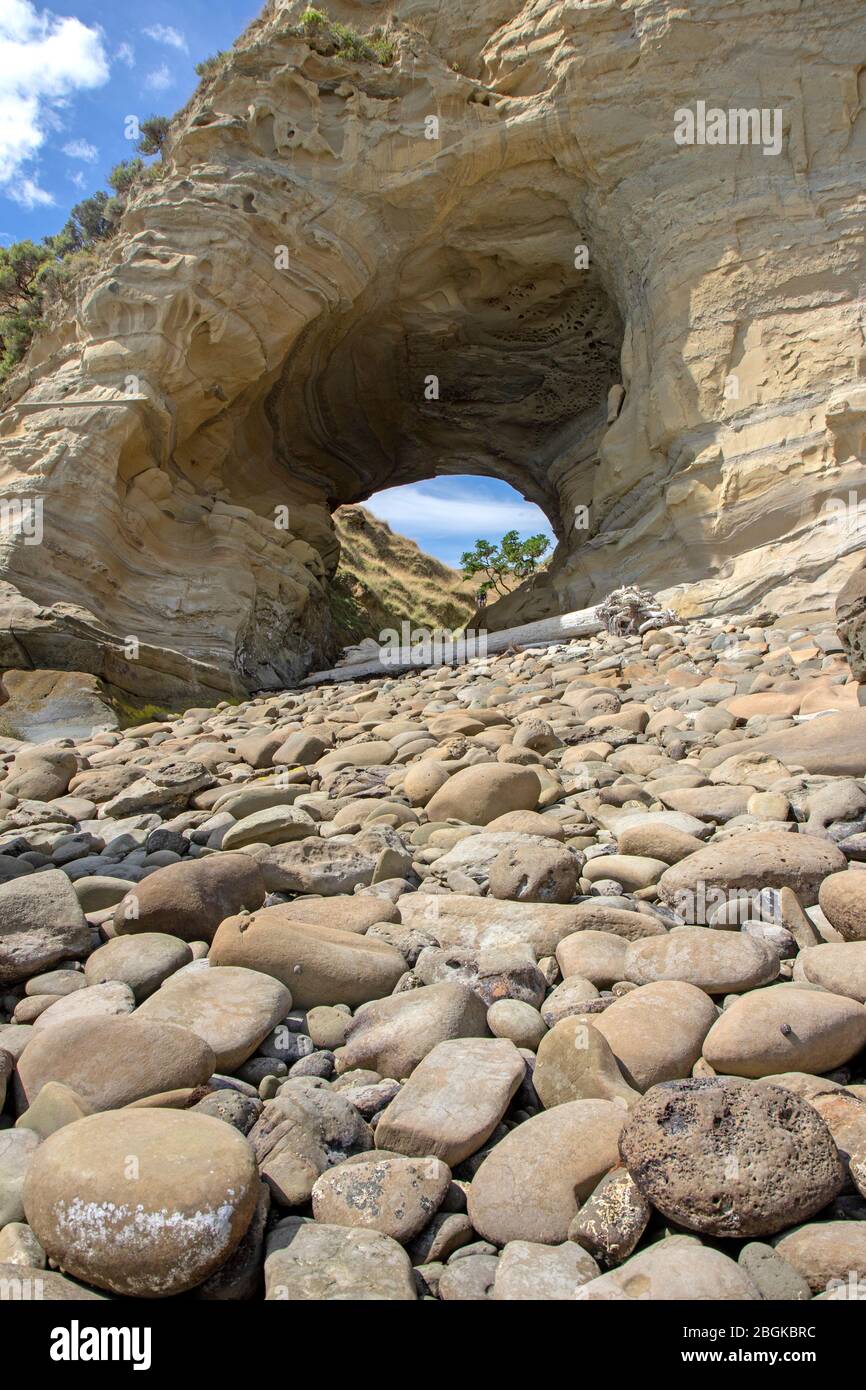Buca nel Muro a Tolaga Bay Foto Stock