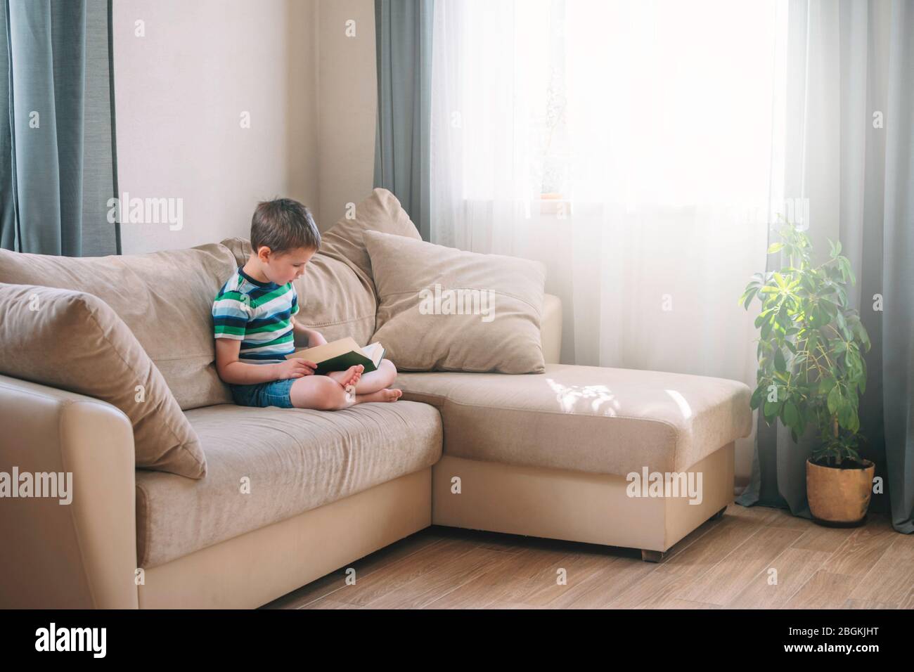 Ragazzo che legge un libro a casa sul divano. Formazione a distanza. Detox digitale. Foto Stock