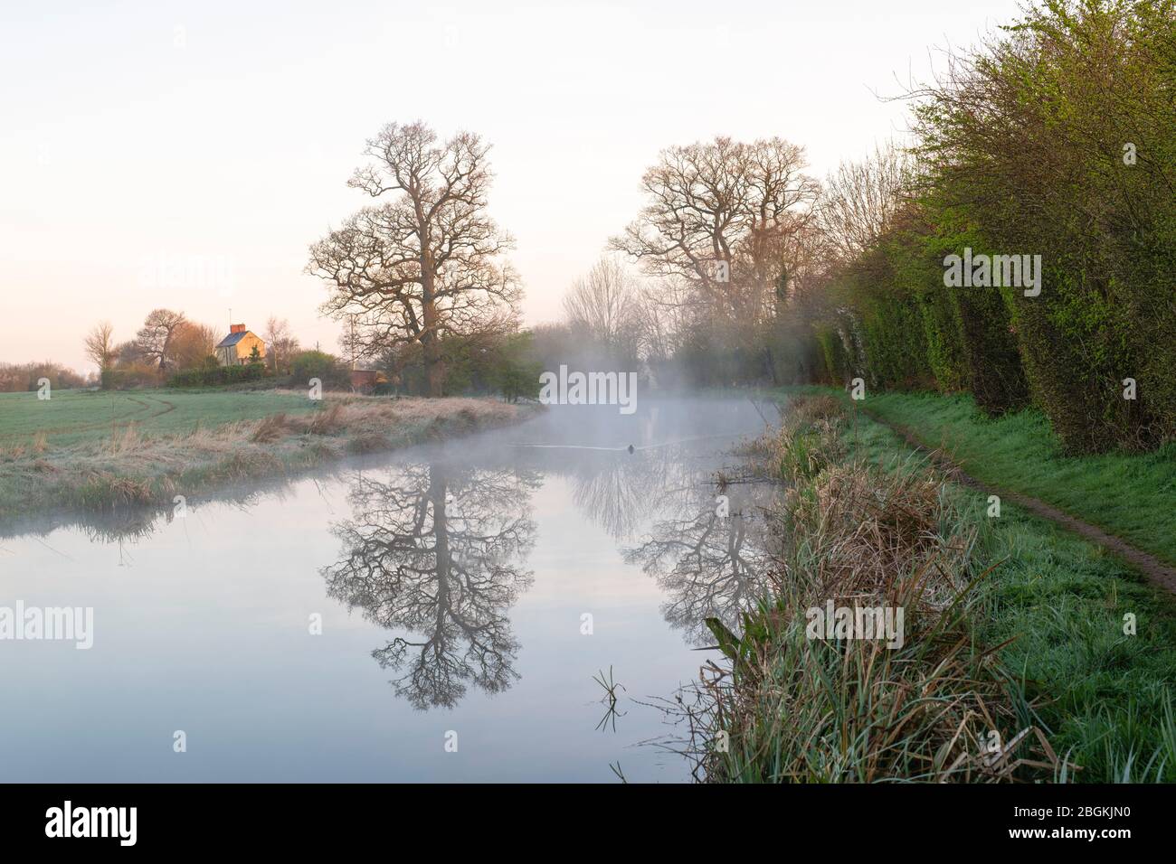 Nebbia di mattina presto sul canale oxford subito dopo l'alba. Vicino a Kings Sutton, Oxfordshire / Northamptonshire Border, Inghilterra Foto Stock