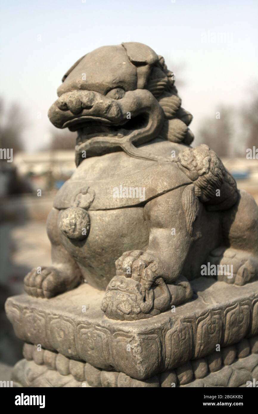 Shishi sulla colonna di osservazione del Ponte di Pechino Lugou il Ponte di Lugou è famoso in tutto il mondo per tutti i tipi di leoni di pietra con un totale di 498 281 grandi pietre Foto Stock