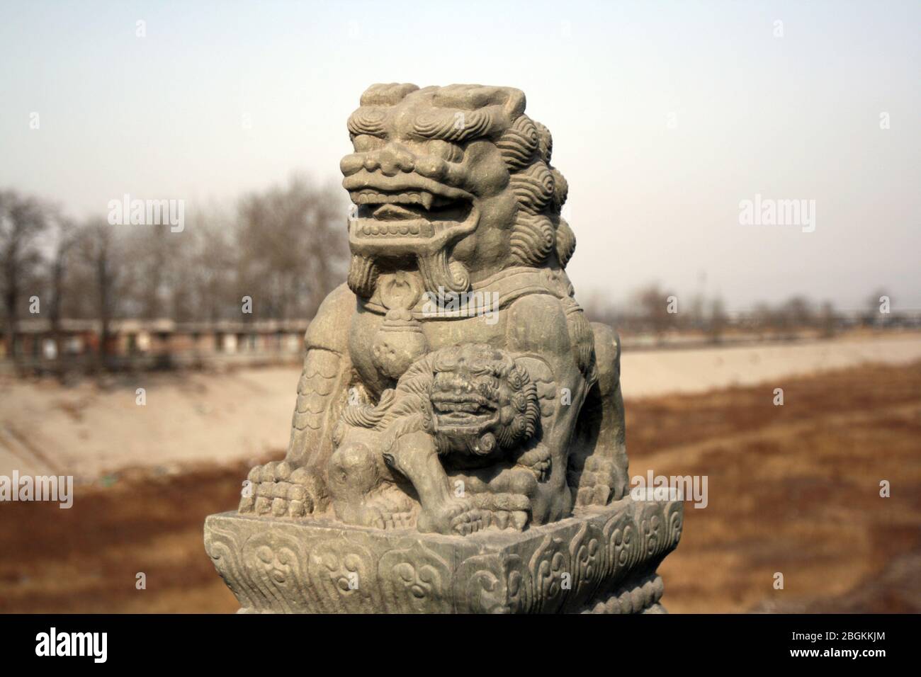 Shishi sulla colonna di osservazione del Ponte di Pechino Lugou il Ponte di Lugou è famoso in tutto il mondo per tutti i tipi di leoni di pietra con un totale di 498 281 grandi pietre Foto Stock