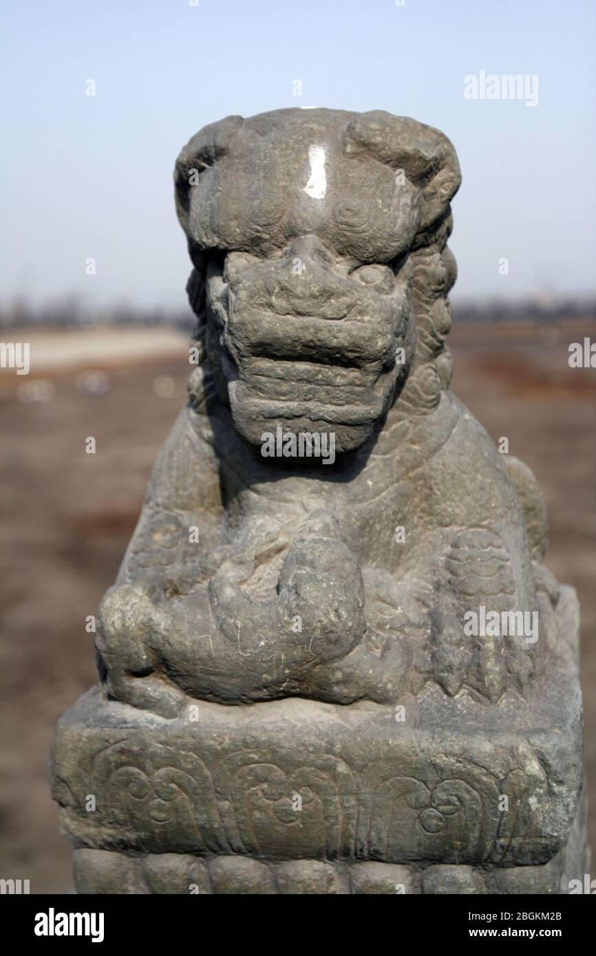 Shishi sulla colonna di osservazione del Ponte di Pechino Lugou il Ponte di Lugou è famoso in tutto il mondo per tutti i tipi di leoni di pietra con un totale di 498 281 grandi pietre Foto Stock