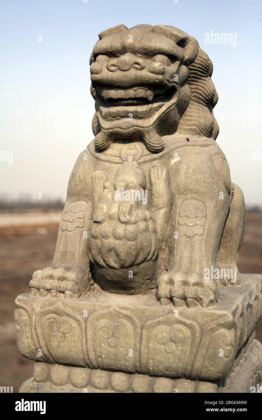 Shishi sulla colonna di osservazione del Ponte di Pechino Lugou il Ponte di Lugou è famoso in tutto il mondo per tutti i tipi di leoni di pietra con un totale di 498 281 grandi pietre Foto Stock