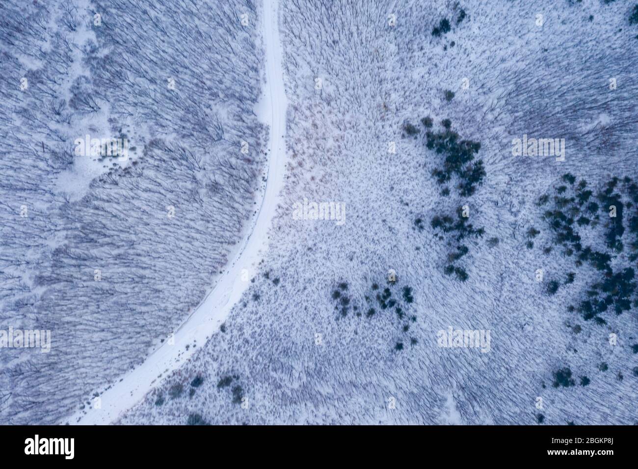 Un paesaggio invernale aereo di alberi coperti di rime intorno al lago Xingkai, un lago d'acqua dolce al confine tra la Russia e noto come lago Khanka, forma Foto Stock