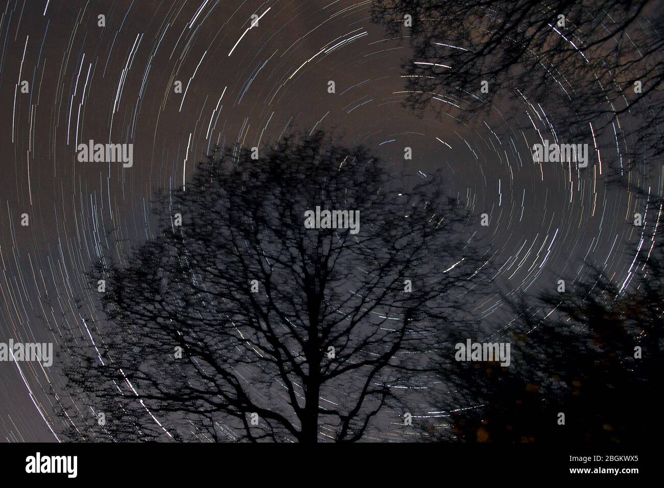 Clydebank, Scozia, Regno Unito. 22 aprile 2020. E' stata una notte interessante per gli Sky-gazer, con diversi eventi celesti che si svolgono. Cieli chiari dopo un'altra bella giornata significava che la visibilità era generalmente buona. Il treno satellitare StarLink è passato ancora una volta nel Regno Unito, con un altro lancio previsto per domani sera. La mattina presto culminò con la cima dell'annuale doccia di Lyrid meteor, che poteva essere visto guardando verso la costellazione, Lyra (l'arpa). Credit: Iain McGuinness / Alamy Live News Foto Stock