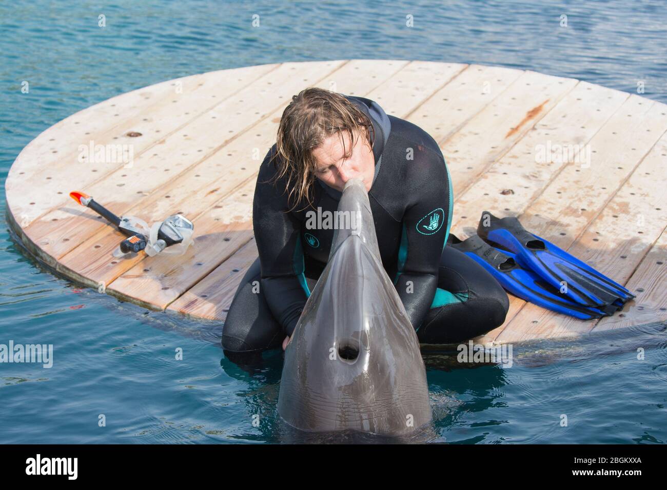 Donna baciata con delfini tursiopi seduto sulla piattaforma della barriera corallina dei Delfini nel Mar Rosso (Tursiops truncatus) Foto Stock