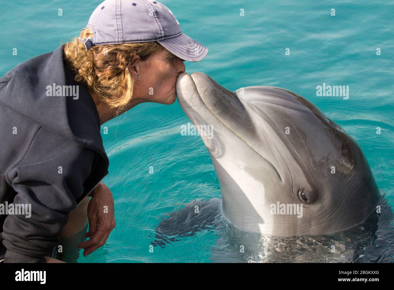 Donna che bacia i delfini tursiopi alla barriera corallina dei delfini nel Mar Rosso (Tursiops truncatus) sulla costa meridionale di Israele Foto Stock