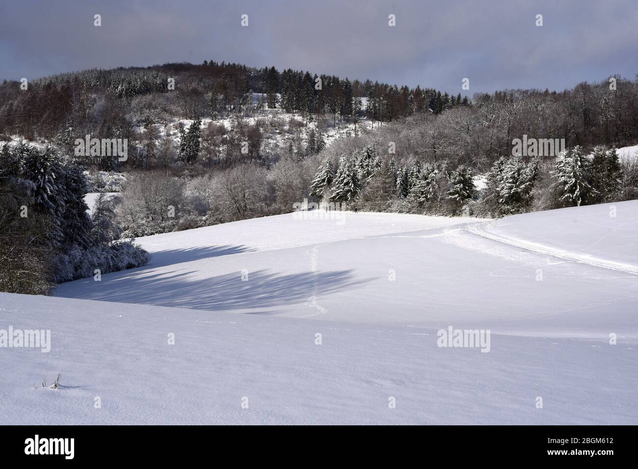 Winterlandschaft und Schneelandschaft in Taunusstein im Taunus. Paesaggio invernale e paesaggio innevato a Taunusstein nel Taunus. Foto Stock