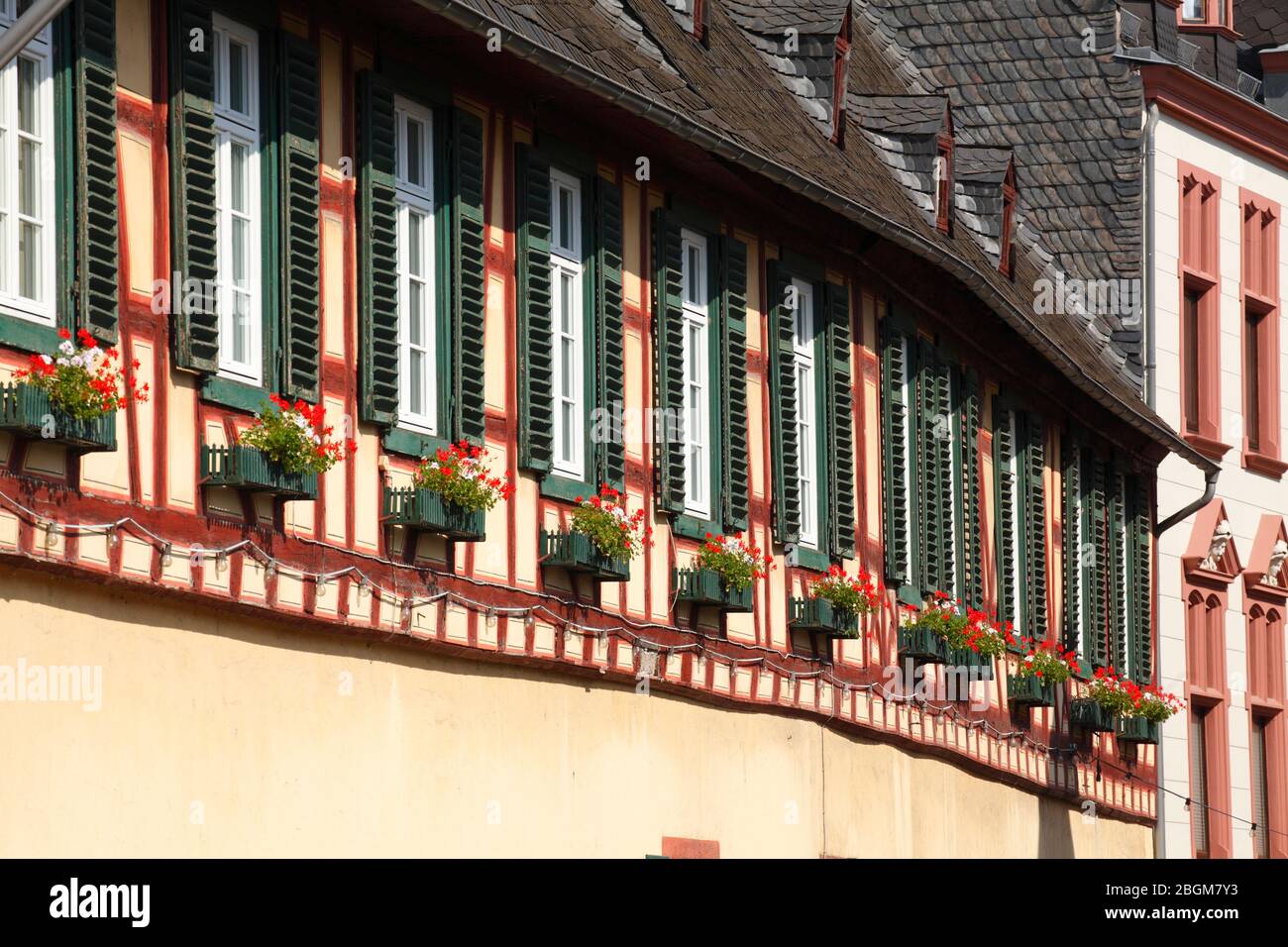 Municipio, finestra frontale con fiori, Oberstrasse nel centro storico, Bacharach am Rhein, Renania-Palatinato, Germania Foto Stock