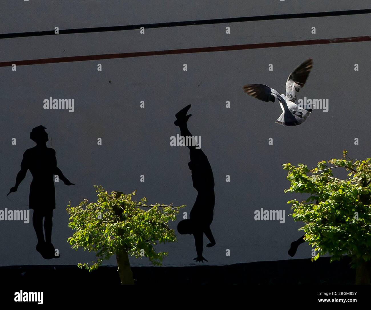 Piccioni in volo con gli esercizi di arte del muro Foto Stock