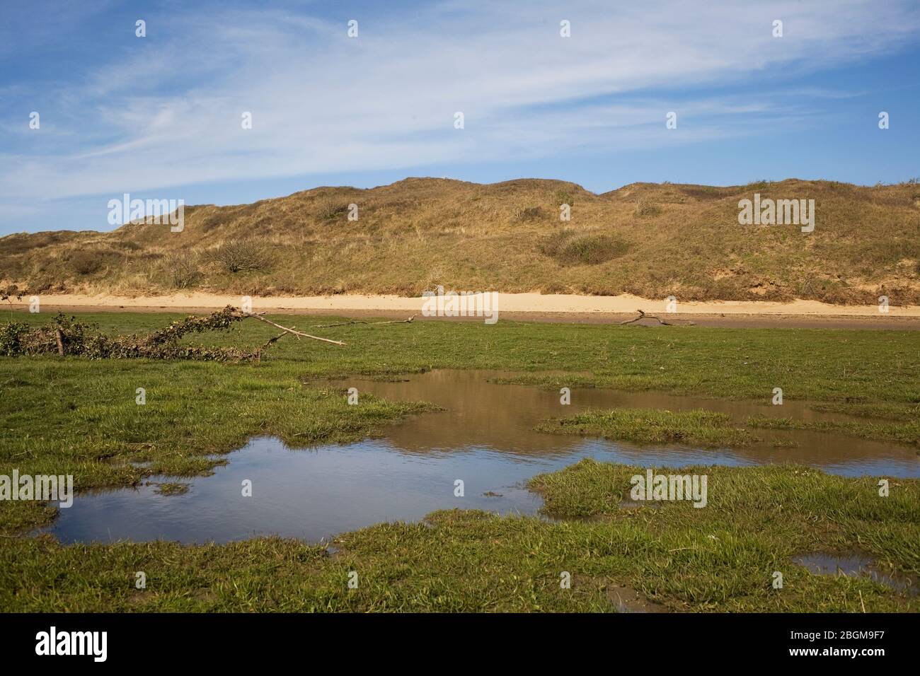 Area allagata di erba che attigua il fiume Ogmore nella riserva naturale di Merthyr Mawr Foto Stock