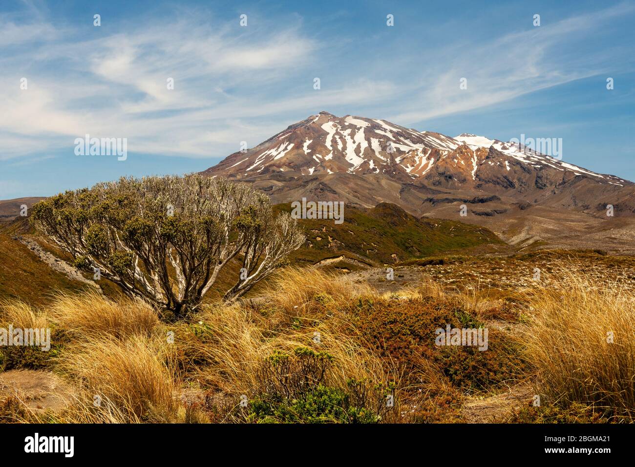 Sentiero nel parco nazionale di Tongariro, sullo sfondo del Monte Ruapehu, polveroso di neve Foto Stock