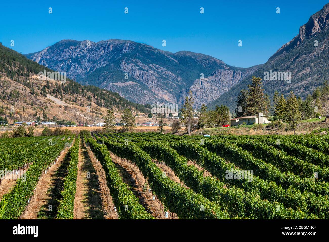 Azienda vinicola a Lillooet, ex Cayoosh Flat, autostrada 99, Sea to Sky Highway, Coast Mountains, British Columbia, Canada Foto Stock