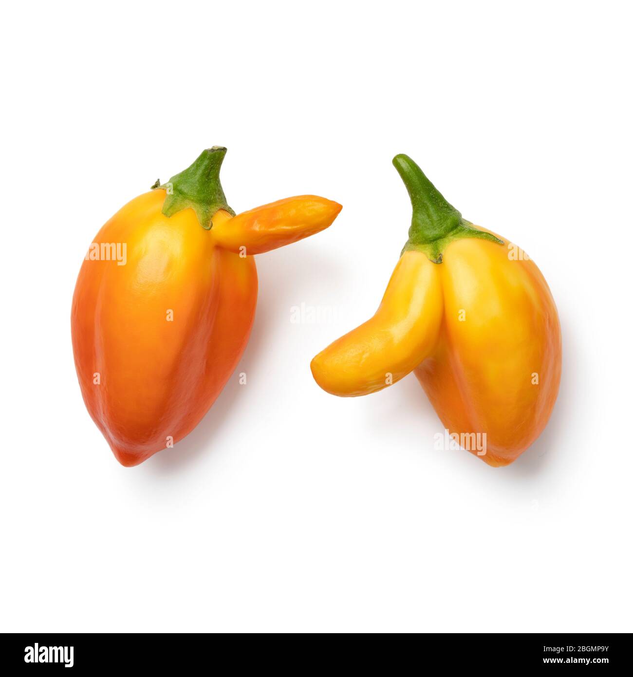 Coppia di mini melanzane fresche deformati arancioni primo piano isolato su sfondo bianco Foto Stock
