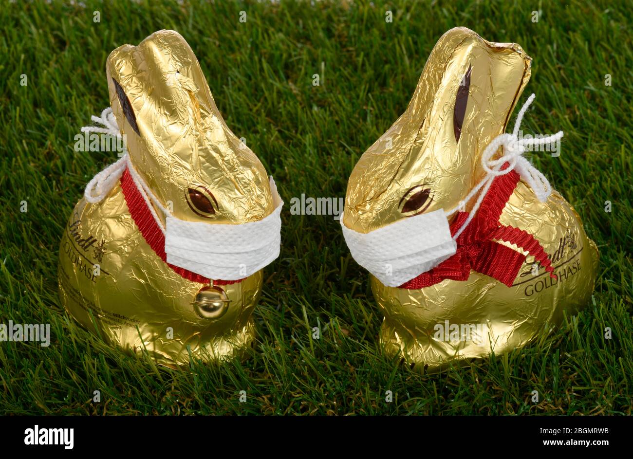 Simbolo foto Pasqua durante la crisi di Corona, due conigli pasquali al cioccolato con i collutorio, Stoccarda, Baden-Wuerttemberg, Germania Foto Stock