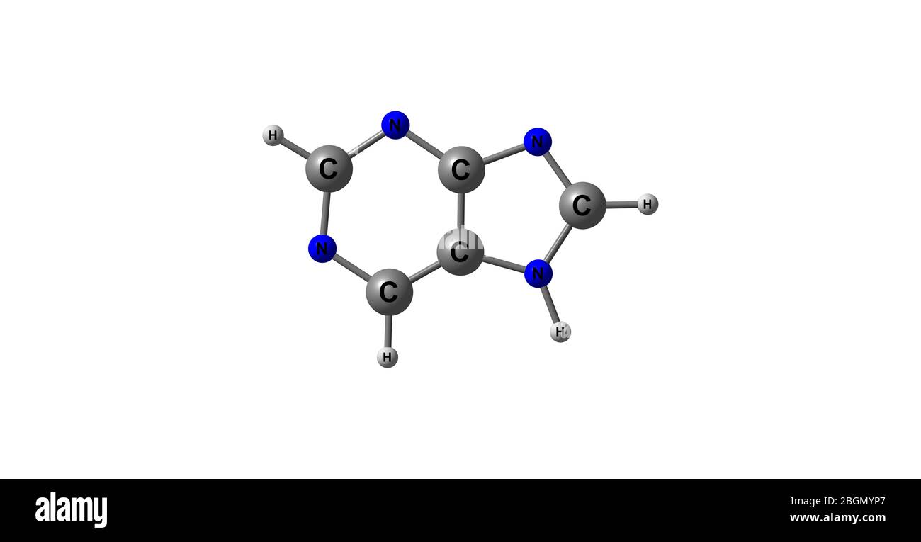 Purina è un composto organico aromatico eterociclico che consiste di un  anello di pirimidina fuso ad un anello di imidazolo. Purina dà il suo nome  al più ampio c Foto stock -