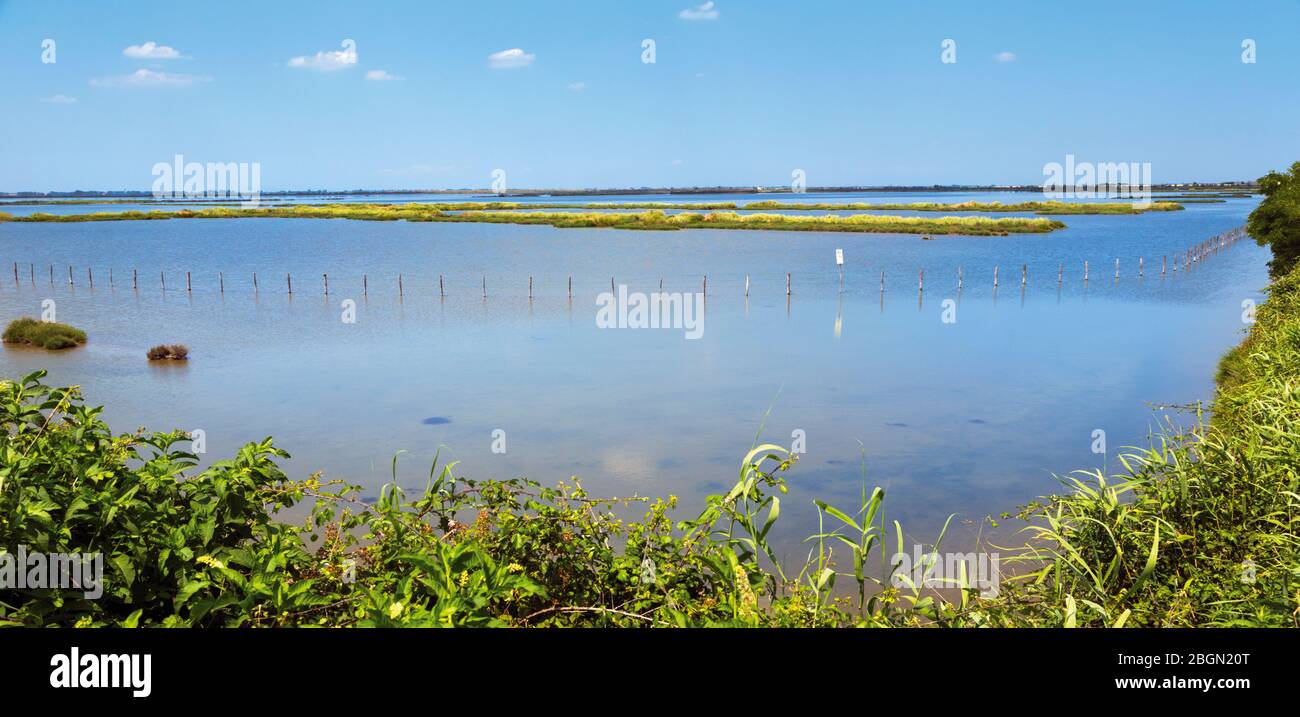 Il delta del po, provincia di Rovigo, Veneto, Italia. Zone umide del Parco Regionale Veneto del Delta del po, o del Parco Regionale Veneto del Delta del po. Foto Stock