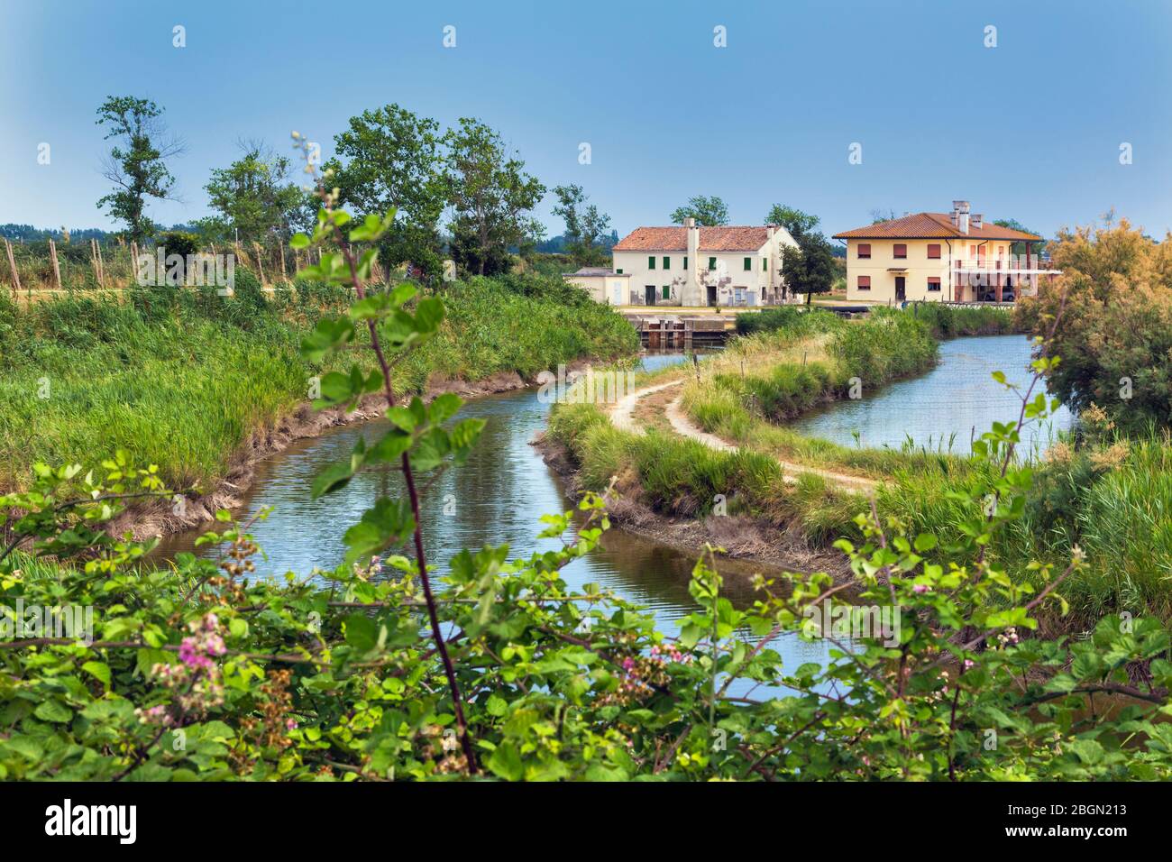 Il delta del po, provincia di Rovigo, Veneto, Italia. Zone umide del Parco Regionale Veneto del Delta del po, o del Parco Regionale Veneto del Delta del po. Foto Stock
