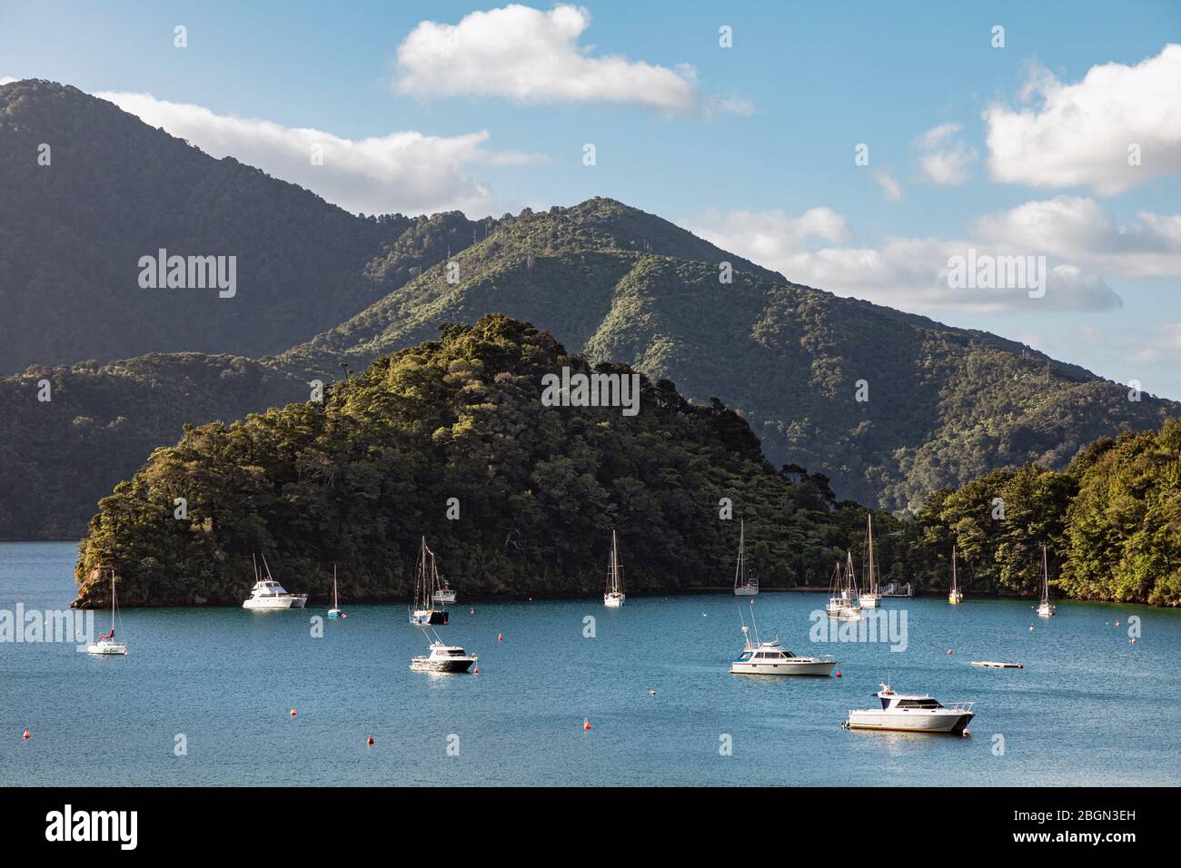 Ngakuta Bay al sole della sera, Marlborough Sounds, South Island, Nuova Zelanda Foto Stock